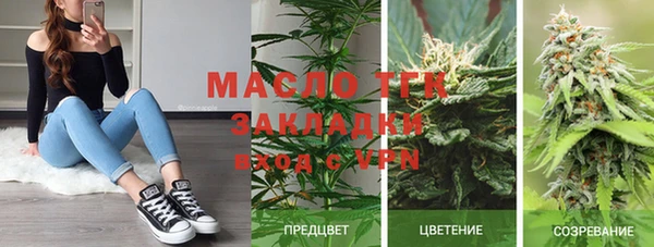 гашик Бородино