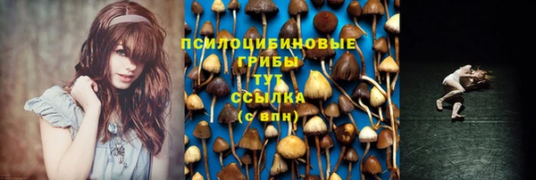 мдма Верхний Тагил